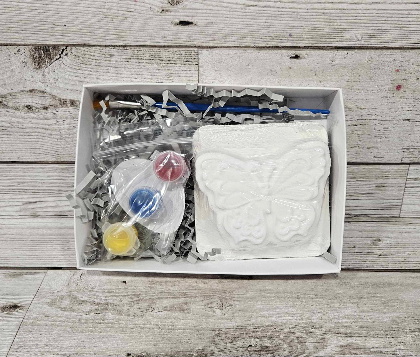 Butterfly Dreams Paint your own Bath Bomb Kit