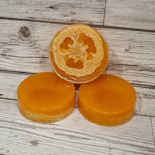 'Cocktail Fizz' Loofah Soap Bar