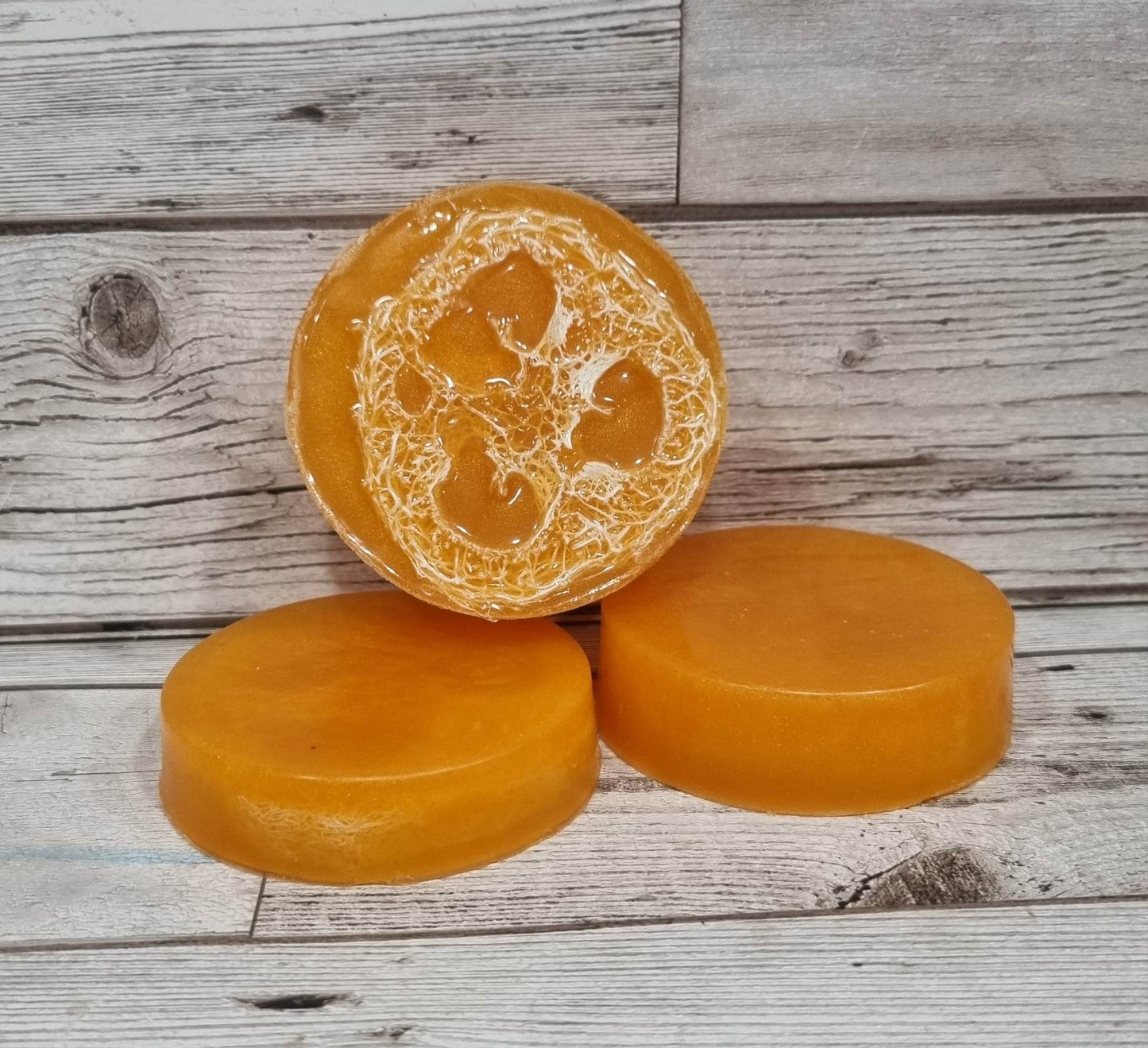 STOCK TAKE SALE Loofah Soap Bar