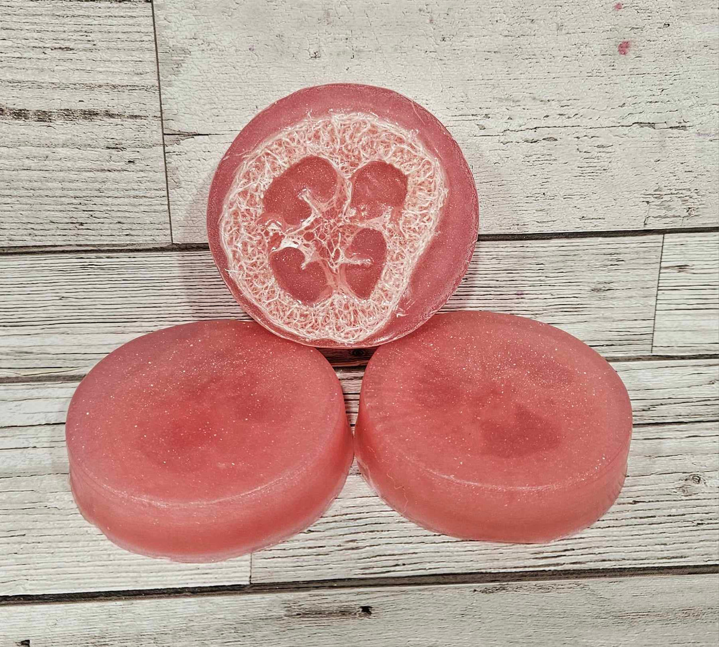 STOCK TAKE SALE Loofah Soap Bar