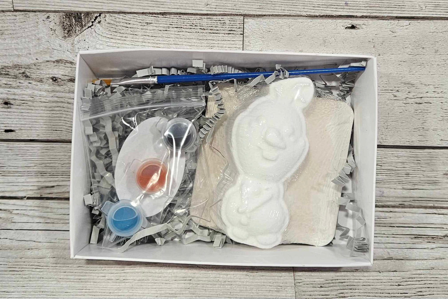 Olaf Paint your own Bath Bomb Kit
