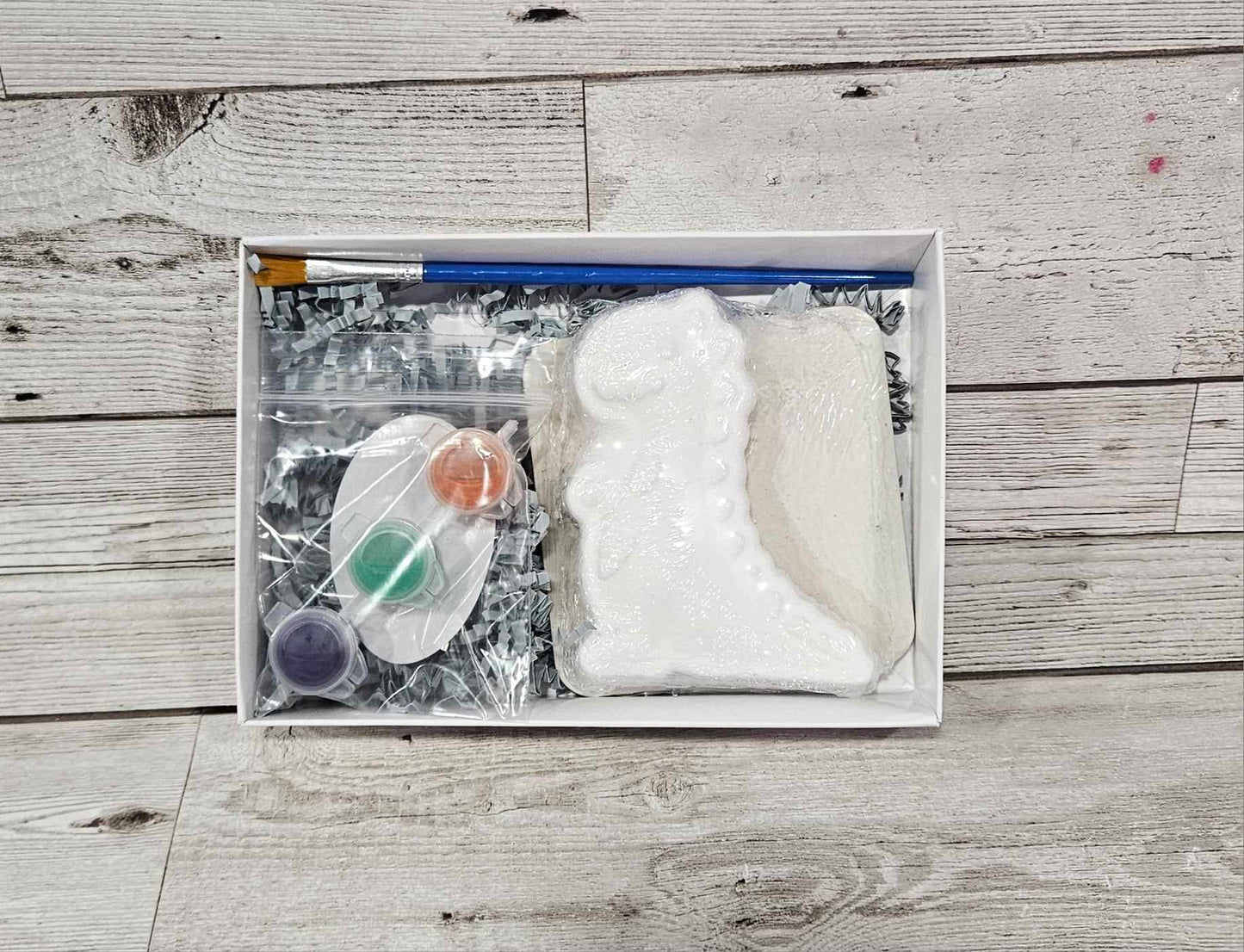 'Dinosaur' Paint your own Bath Bomb Kit